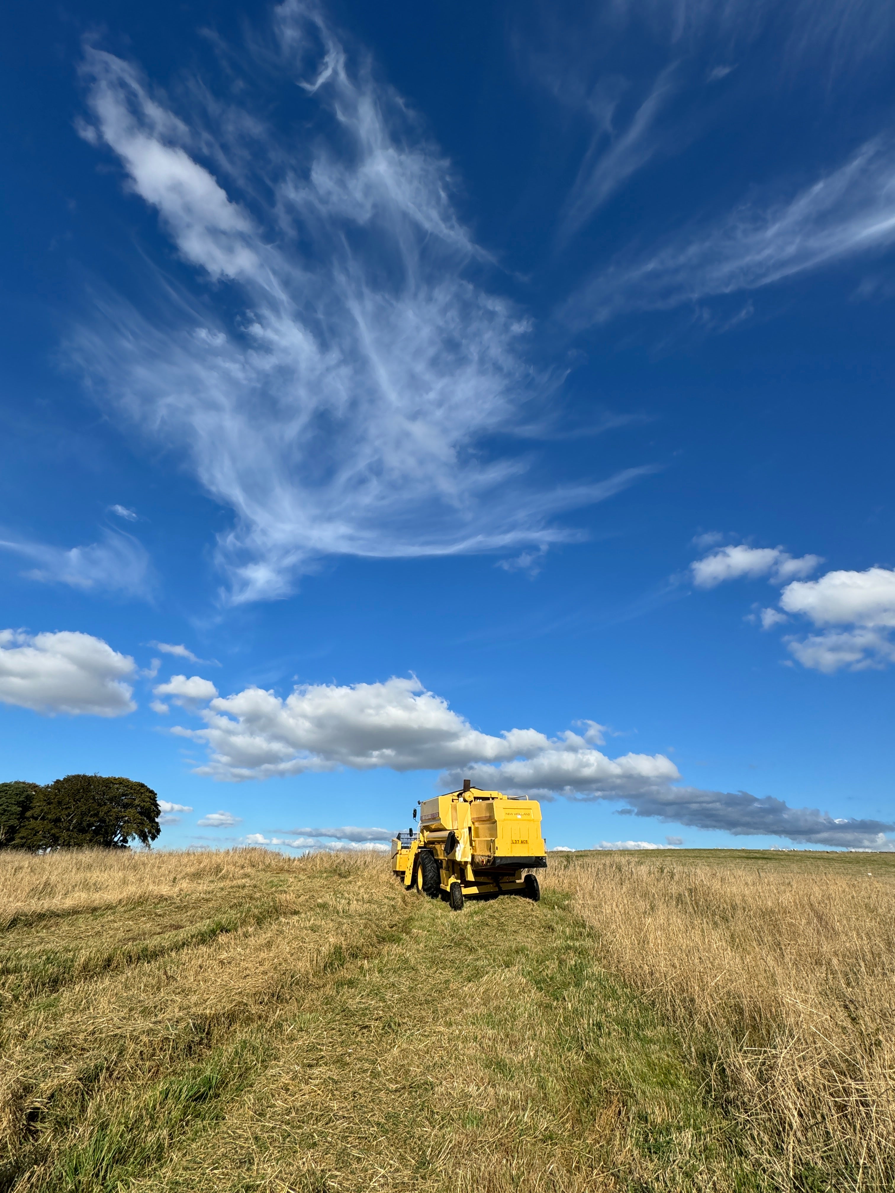 Yellow harvester in a field with a blue sky and clouds