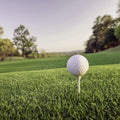 A golf ball on a golf tee with healthy green turf. Showcasing our amenity lawn seed, grass lawn seed, lawn grass seed, garden grass seed, seed mixtures, amenity grass, sport grass seed, bowling green, golf greens, golf course grass seed, grass lawn turf, lawn grass turf, turf lawn.