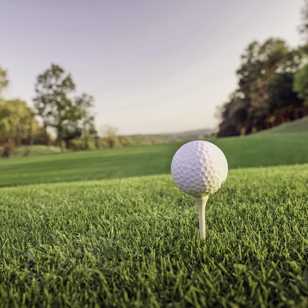 A golf ball on a golf tee with healthy green turf. Showcasing our amenity lawn seed, grass lawn seed, lawn grass seed, garden grass seed, seed mixtures, amenity grass, sport grass seed, bowling green, golf greens, golf course grass seed, grass lawn turf, lawn grass turf, turf lawn.