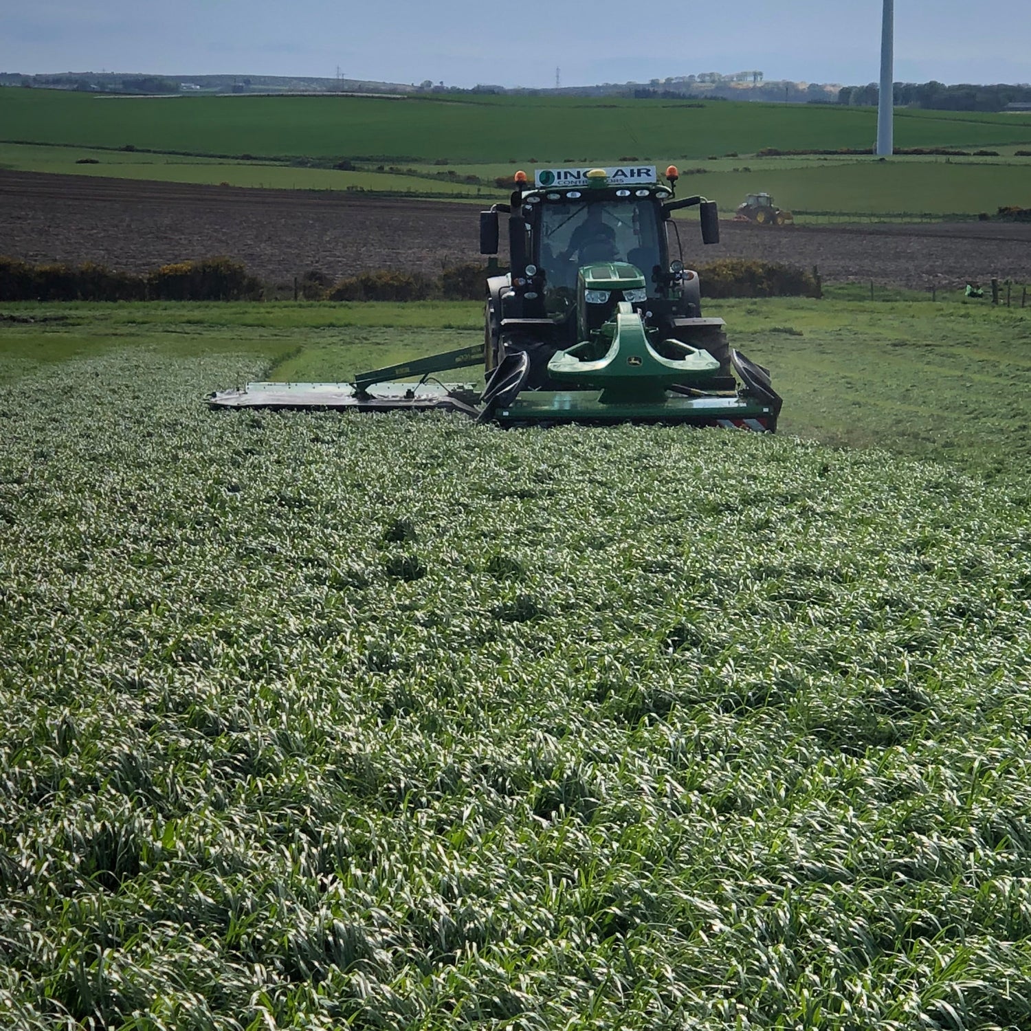 Bio-Grass | Special Silage Hybrid Agricultural Grass Seed Mix