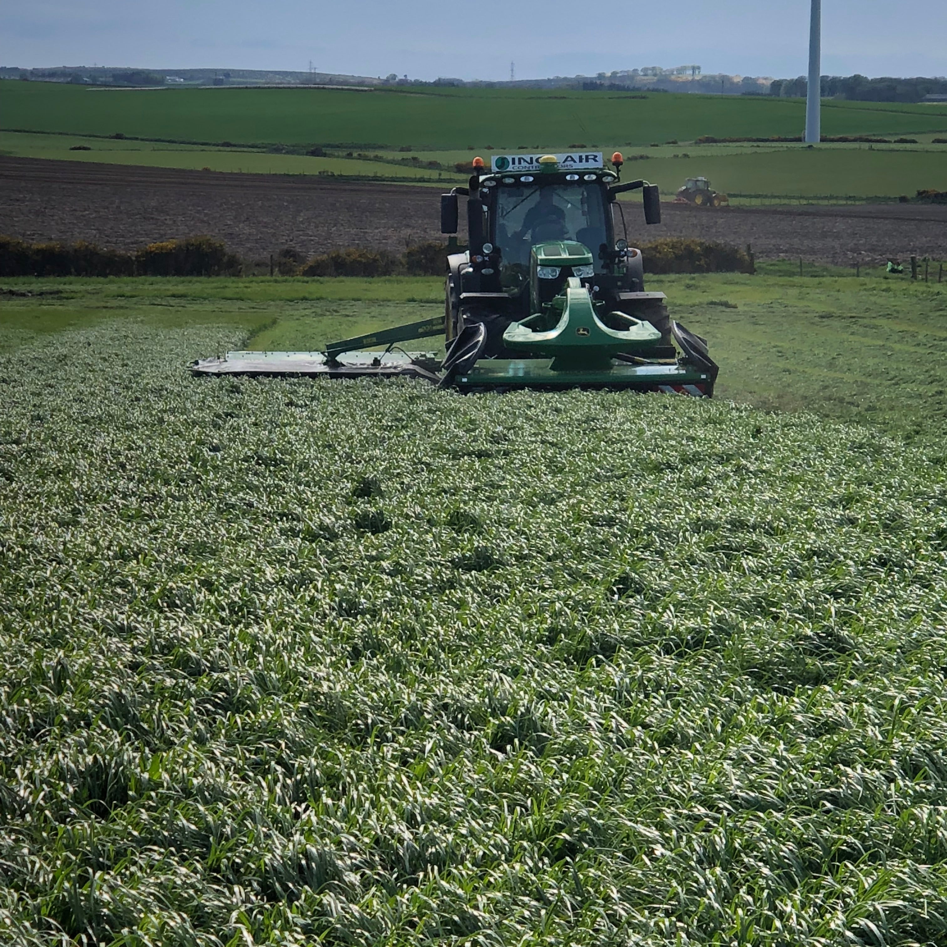 Bio-Grass | Special Silage Hybrid Agricultural Grass Seed Mix