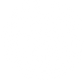 Wild Seed Scotland logo in white which represents a small business who sell native wildflower seeds UK, wildflower seeds UK, wildflower seed mix uk