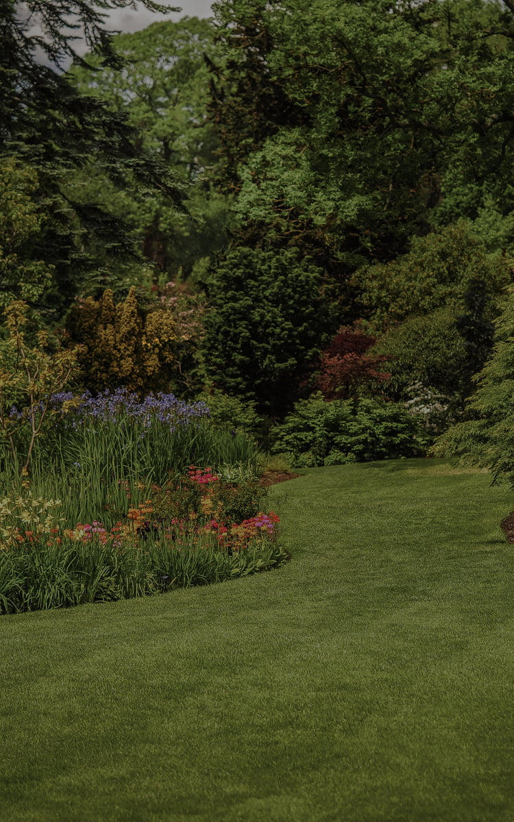 Lush green garden with a path winding through flowers and trees. Showcasing amenity lawn seed, grass lawn seed, lawn grass seed, garden grass seed, seed mixtures, amenity grass, grass seed for dogs, grass seed for shady areas, hard wearing grass seed, fine grass seed.