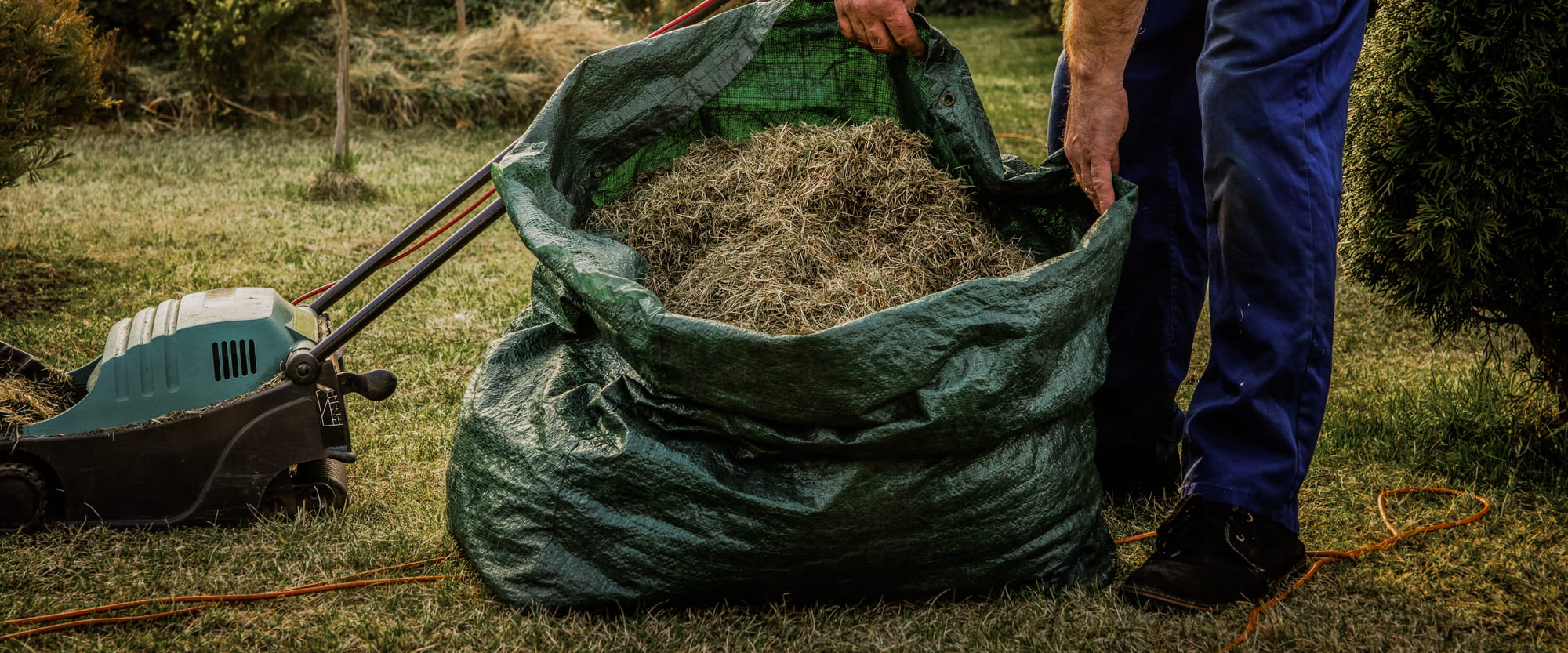 Person using a green bag to collect grass clippings after mowing a lawn. Showcasing our amenity lawn seed, grass lawn seed, lawn grass seed, garden grass seed, seed mixtures, amenity grass, sport grass seed, grass seed on football pitch, winter lawn care, autumn lawn care, spring lawn care, lawn aftercare.