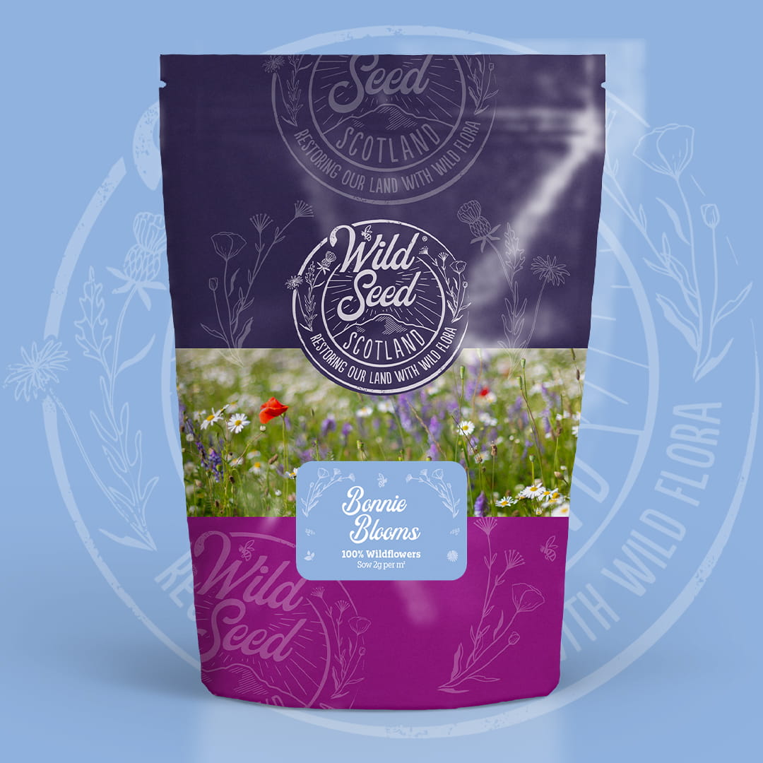 A Wild Seed Scotland packet of wildflower seed mix uk of Bonnie Blooms featuring General Purpose 100% Wildflower Mix which is a 100% wildflower seed mixture. To highlight british wild flower seeds, british wildflower seeds, wildflower mixes, mixed wildflower seeds, uk wildflower seeds, wildflower meadows, wildflower meadow, universal wildflower mix.