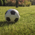 A football on hard-wearing amenity lawn mix inside of a football pitch. Showcasing our amenity lawn seed, grass lawn seed, lawn grass seed, garden grass seed, seed mixtures, amenity grass, grass seed for dogs, hard wearing grass seed, hard wearing lawn seed, tough grass seed.