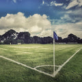 A football playing field on hard-wearing amenity lawn mix inside of a football pitch. Showcasing our amenity lawn seed, grass lawn seed, lawn grass seed, garden grass seed, seed mixtures, amenity grass, sport grass seed, grass seed on football pitch, football pitch grass, football grass.