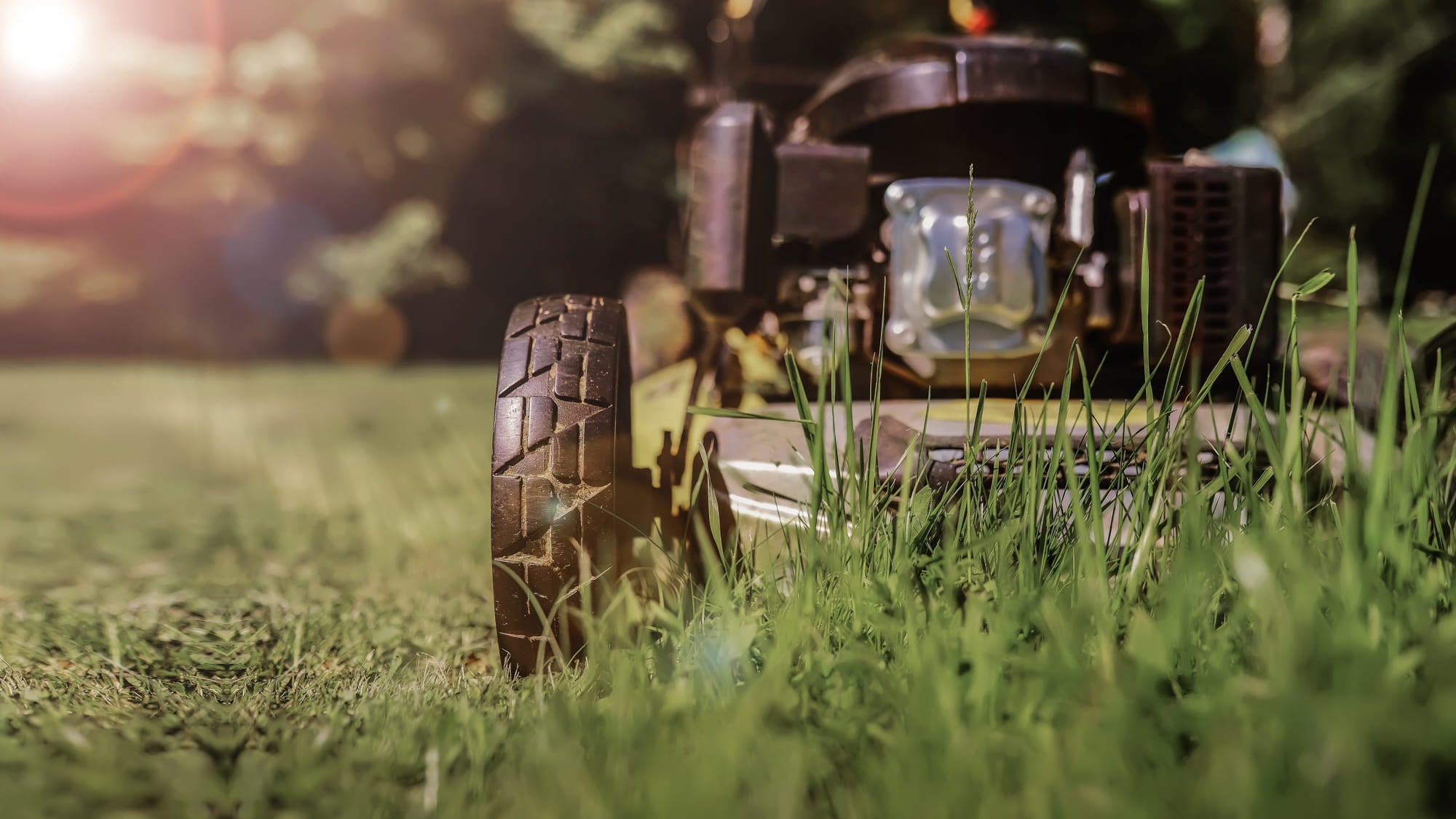 Mowing a lawn with a lawnmower. Showcasing our amenity lawn seed, grass lawn seed, lawn grass seed, garden grass seed, seed mixtures, amenity grass, sport grass seed, grass seed on football pitch, winter lawn care, autumn lawn care, spring lawn care, lawn aftercare.