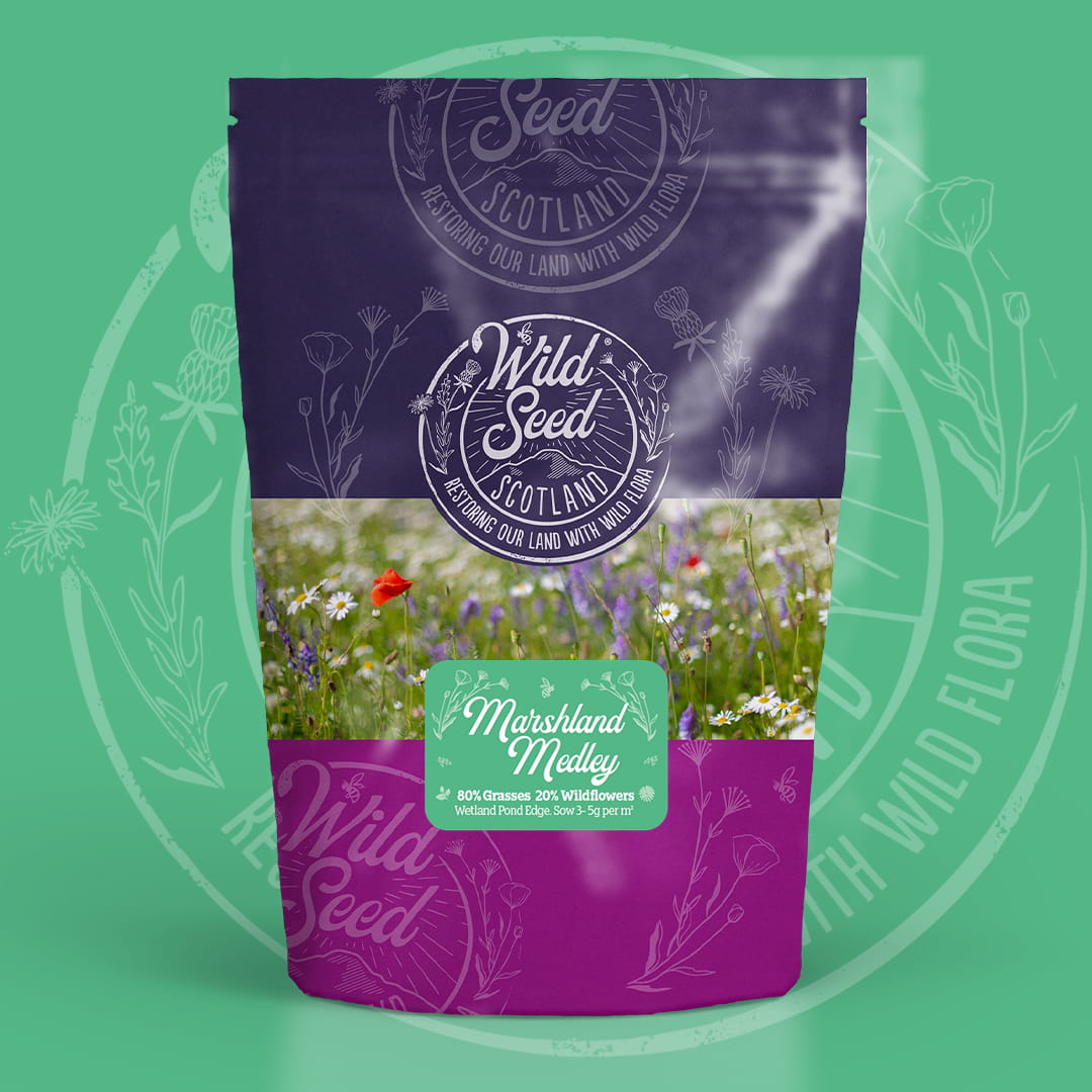 A Wild Seed Scotland packet of wildflower seed mix uk of Marshland Medley featuring Wetland Pond Edge Meadow Wildflower Mix which is a wildflower with grass seed mixture. To highlight Wild Seed Scotland's Wetlands 80/20% Wildflower Meadow Seed Mix, british wild flower seeds, british wildflower seeds, wildflower mixes, mixed wildflower seeds, uk wildflower seeds, wildflower meadows, wildflower meadow, wetlands wildflower mix, meadow with wildflowers, wildflowers for wetlands.