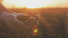 Gardening gloved hands checking soil before sowing seed with a sunset in the background.