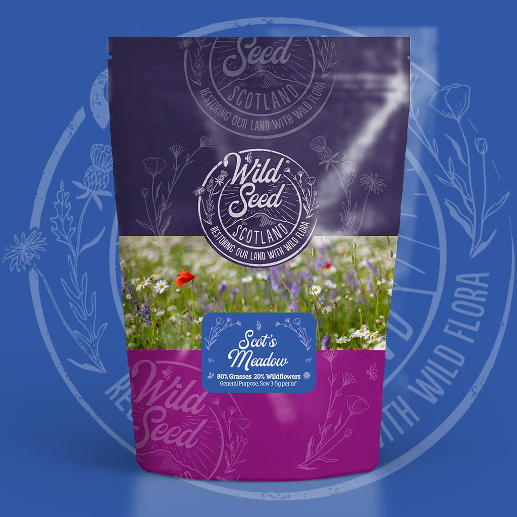 A Wild Seed Scotland packet of wildflower seed mix uk of Scot's Meadow featuring General Purpose Meadow Wildflower Mix which is a wildflower with grass seed mixture. To highlight Universal 80/20% Wildflower Meadow Seed Mix, british wild flower seeds, british wildflower seeds, wildflower mixes, mixed wildflower seeds, uk wildflower seeds, wildflower meadows, wildflower meadow, universal wildflower mix, meadow with wildflowers.