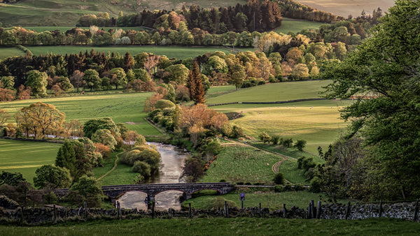 Scottish green countryside landscape showing a river with a bridge surrounded by pastures and trees. To showcase grass seed agricultural, grass seed agriculture, agriculture grass seed, farm seeds.