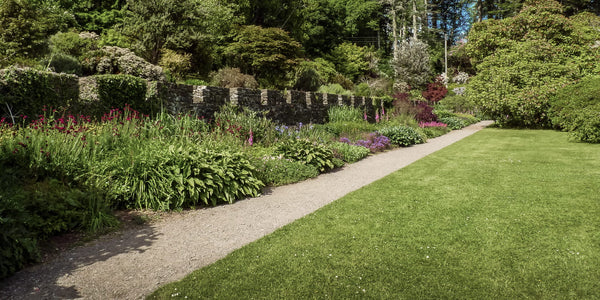 Garden with a stone wall, green grass, and various plants in scottish garden. Showcasing our amenity lawn seed, grass lawn seed, lawn grass seed, garden grass seed, seed mixtures, amenity grass, fine grass seed, turf seeds, luxury lawn seed.
