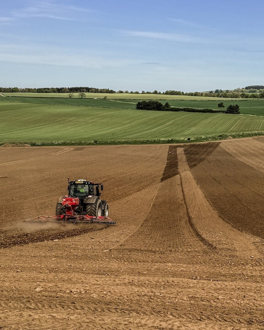 Tractor plowing a field in Scotland with a clear blue sky to prepare for sowing wildflower seed.