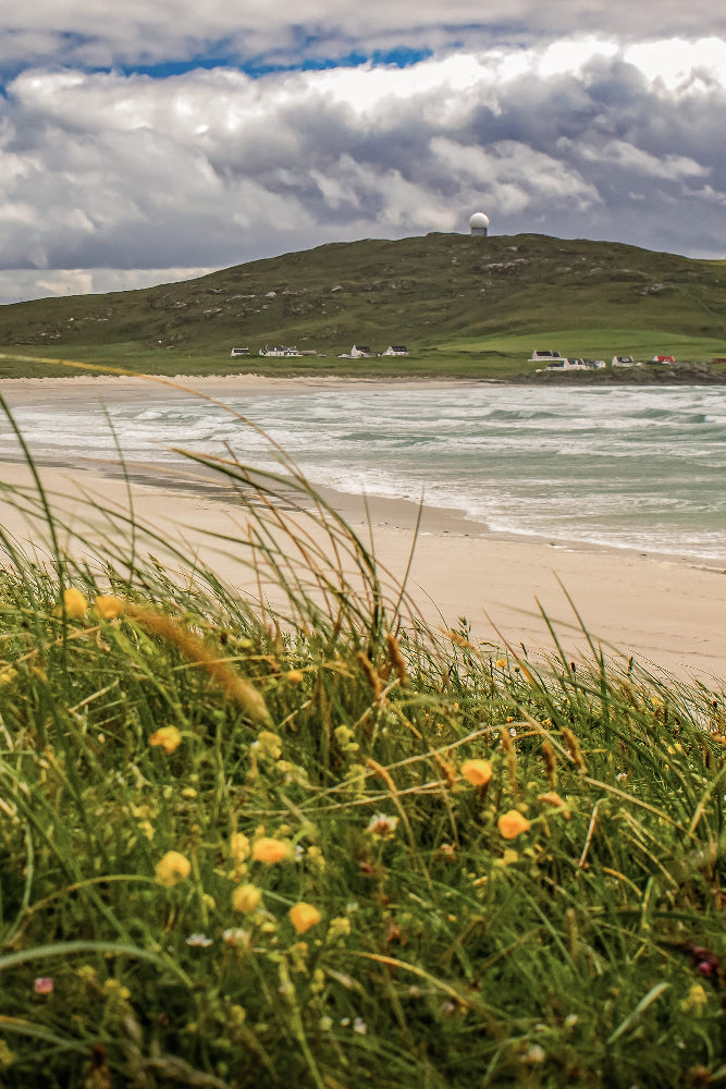 Scenic view of a Scottish beach with grass and native wildflower mixture uk in the foreground, and a green hill with buildings in the background. To highlight Wild Seed Scotland's british wild flower seeds, british wildflower seeds, wildflower mixes, mixed wildflower seeds, uk wildflower seeds, wildflower meadows, wildflower meadow, cost-effective wildflower meadow.